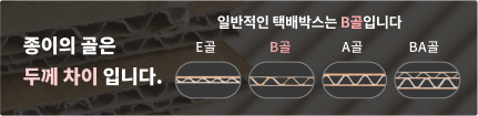 종이의 골 안내